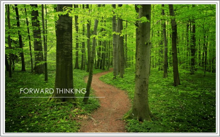Forward Thinking - a guarantee of NZA Law